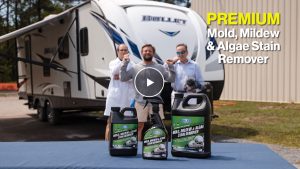 Mold Mildew remover spray walex